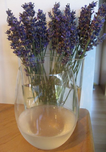 lavender